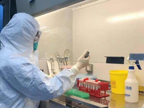 表面微生物、致病菌檢測